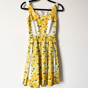 LOFT Women’s dress, Size 0